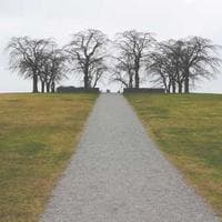 Royal Cuisine Caterers