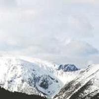 PixelPerfect Studios