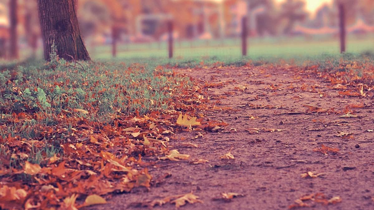 Lakeview Grand Banquet photo 2