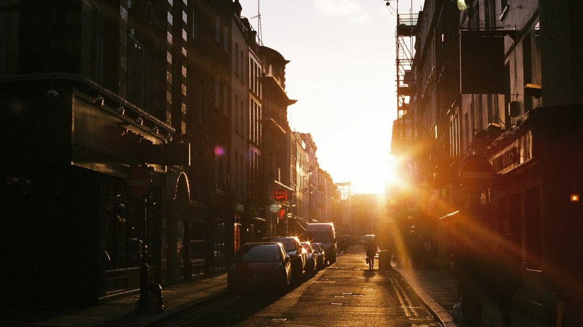 The Secret Garden photo 3